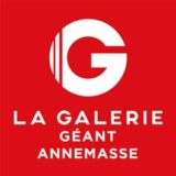 La Galerie Géant Annemasse accueille les Ateliers Pliay